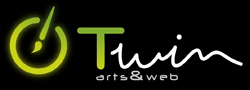 Twin Arts & Web